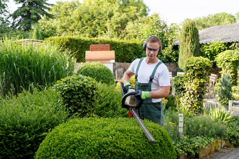 Shrub Cutting