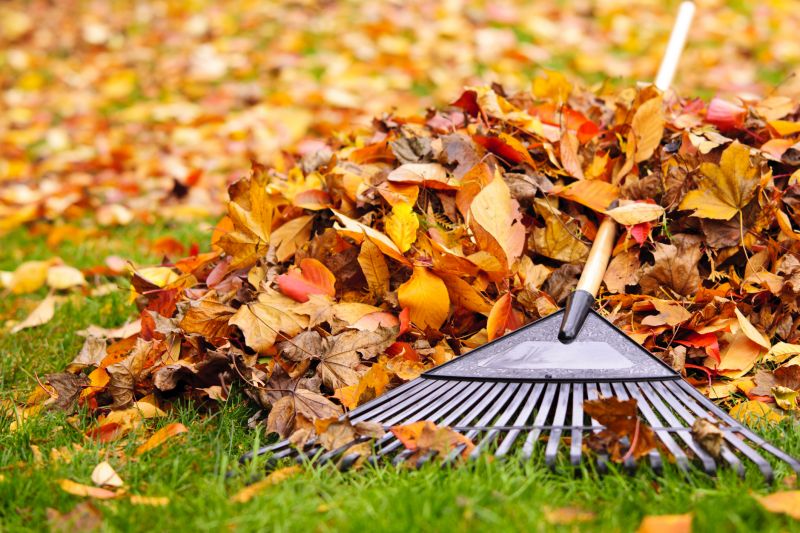 Autumn Lawn Care Tools