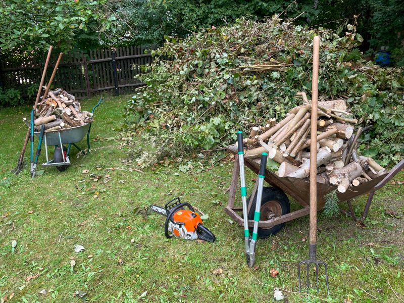 Removing Debris from the Lawn