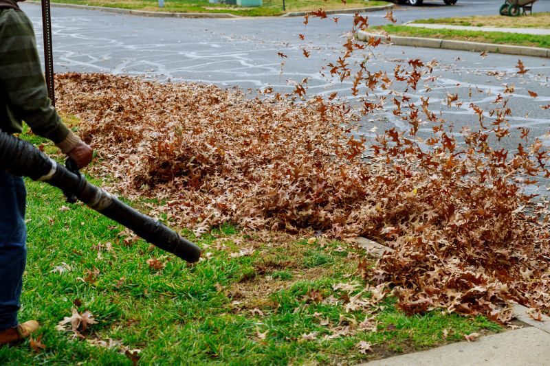 Efficient Leaf Mulching