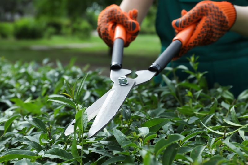 Shrub Pruning Tools